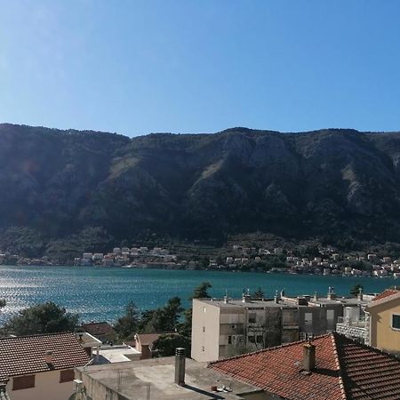 Apartament Albatros Kotor Zewnętrze zdjęcie