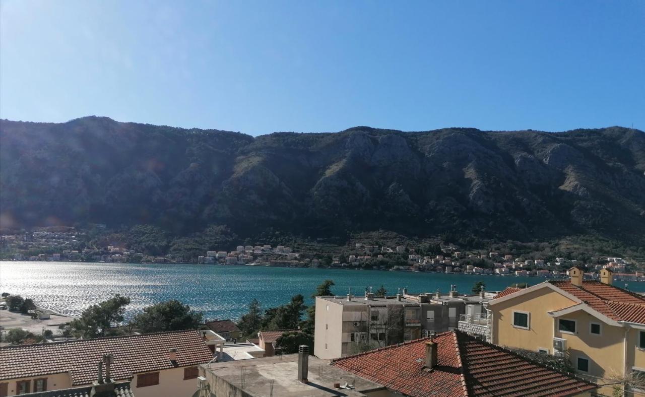 Apartament Albatros Kotor Zewnętrze zdjęcie